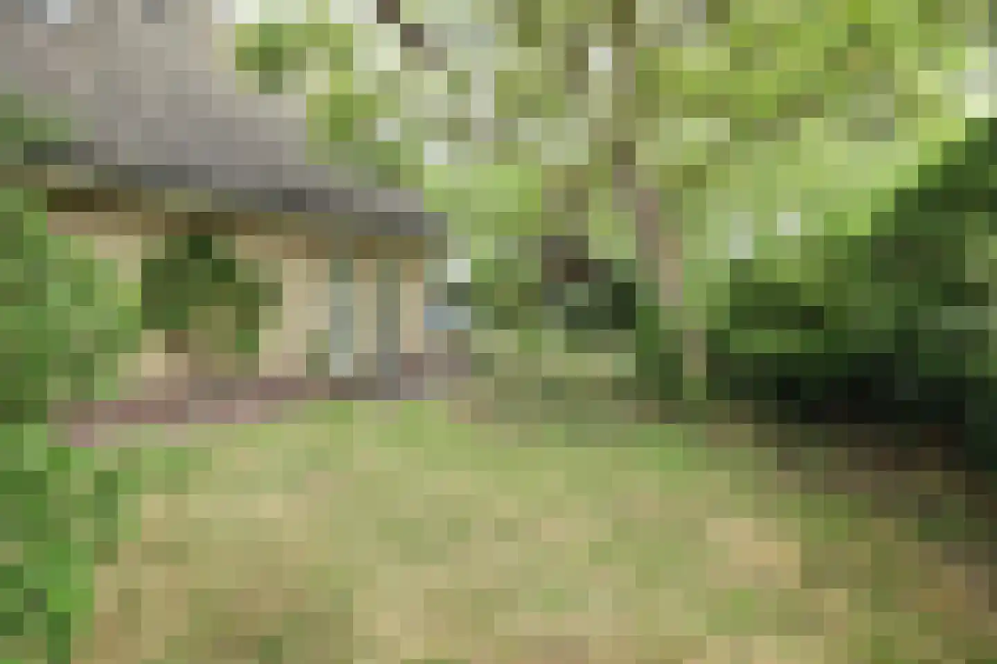Seringenlaan 4 Burgh-Haamstede thumbnail 33