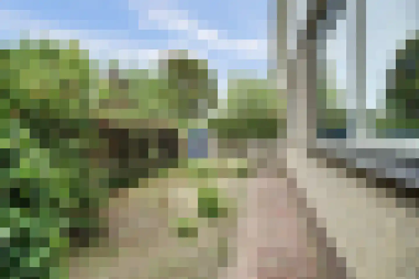 Seringenlaan 4 Burgh-Haamstede thumbnail 34