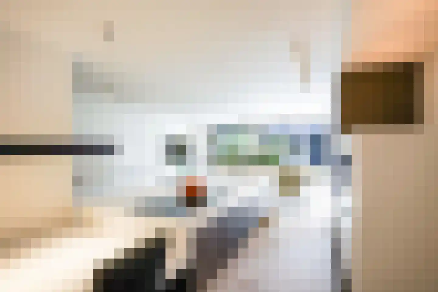 Seringenlaan 41 Wassenaar thumbnail 14