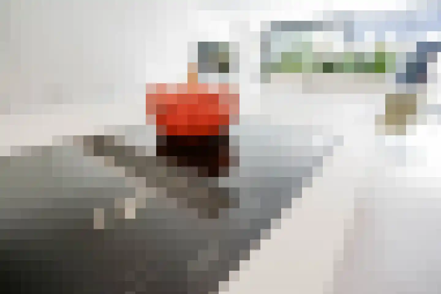 Seringenlaan 41 Wassenaar thumbnail 15