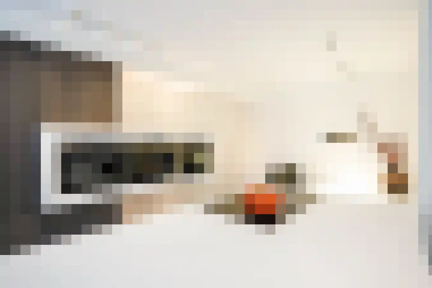 Seringenlaan 41 Wassenaar thumbnail 16