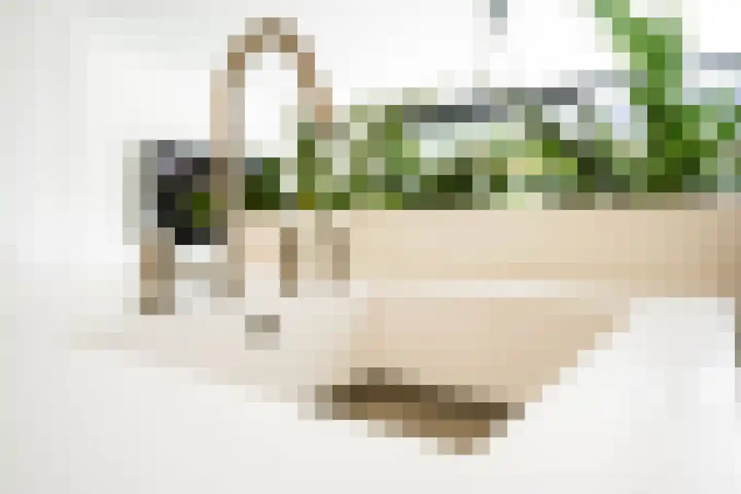 Seringenlaan 41 Wassenaar thumbnail 17