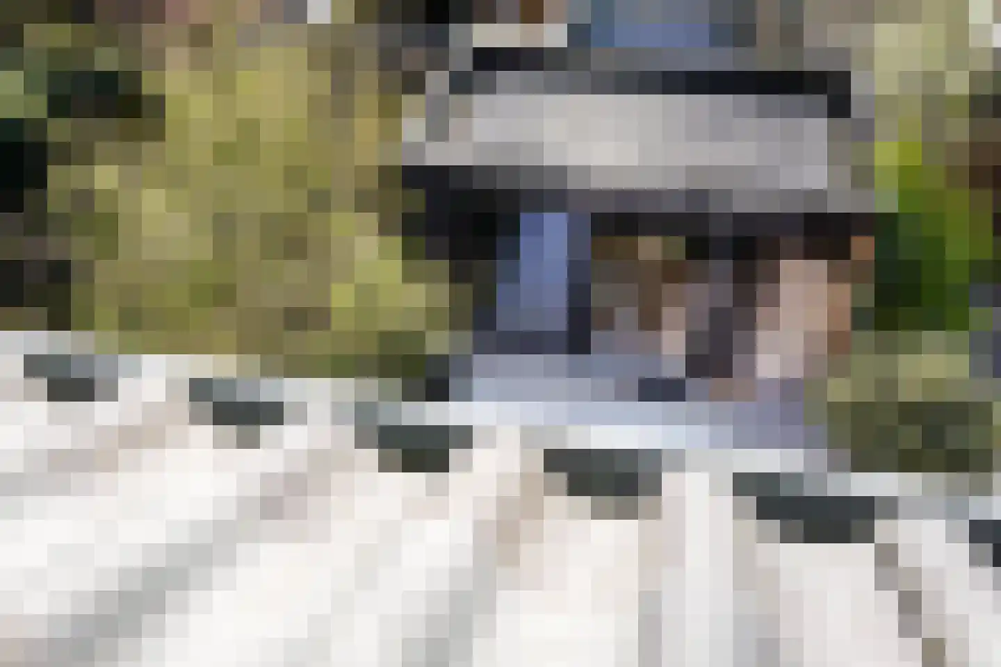 Seringenlaan 41 Wassenaar thumbnail 19