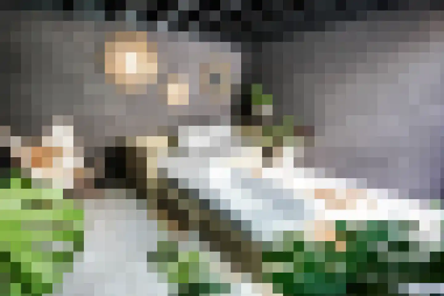 Seringenlaan 41 Wassenaar thumbnail 20
