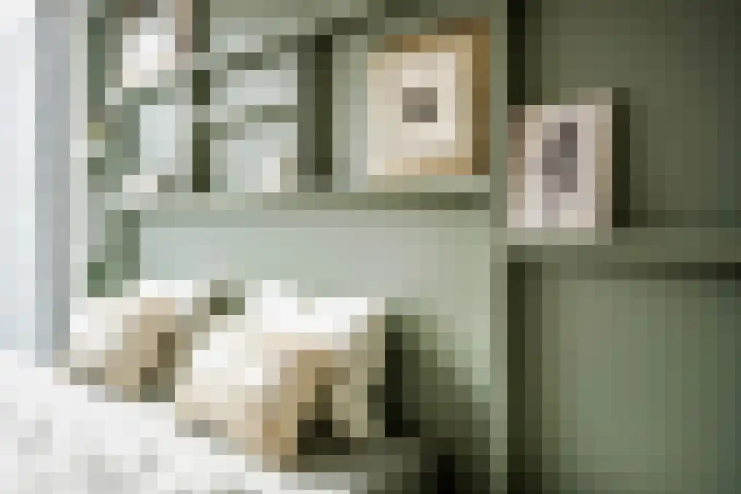 Seringenlaan 41 Wassenaar thumbnail 21