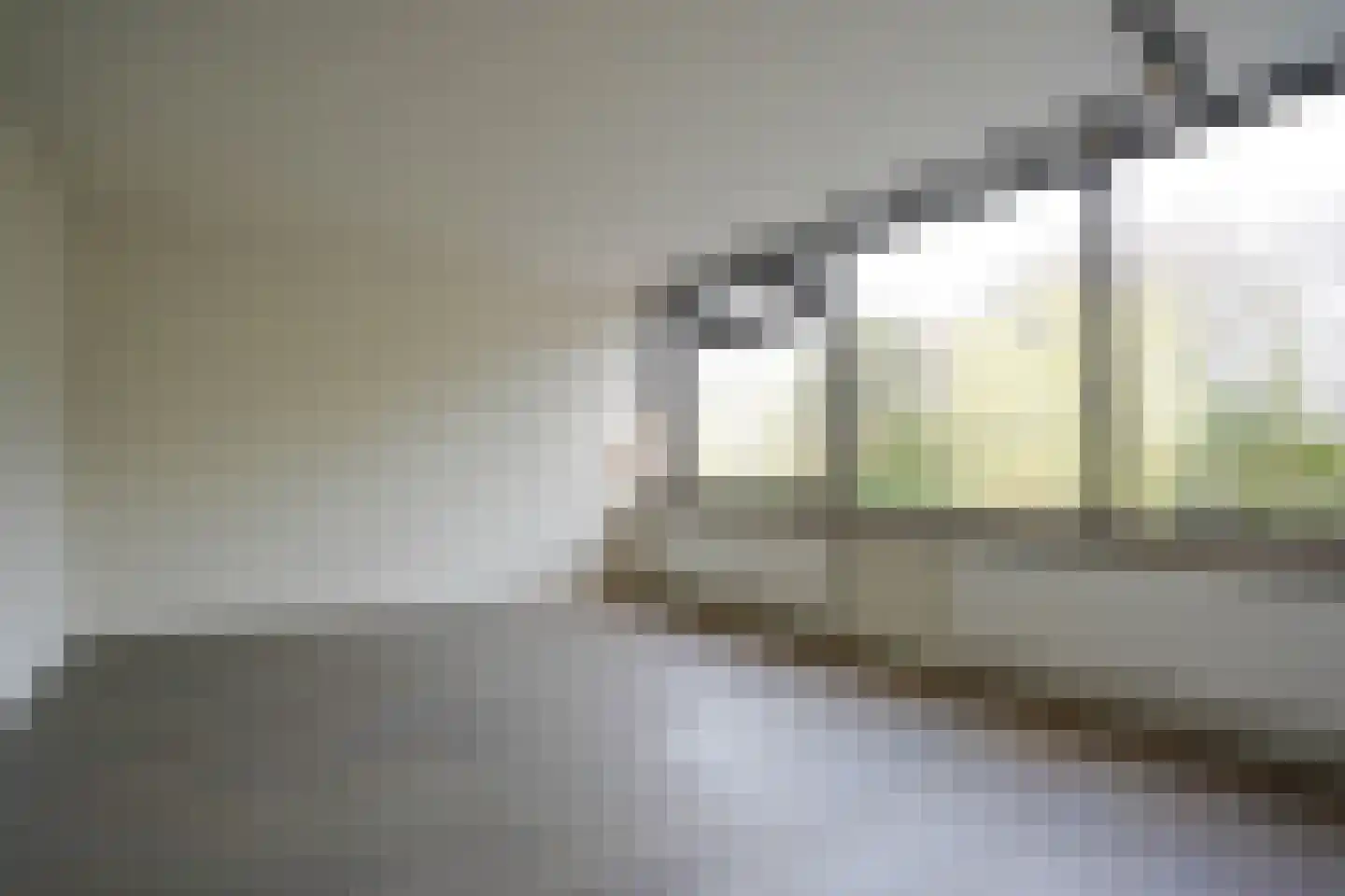 Seringenlaan 41 Wassenaar thumbnail 26