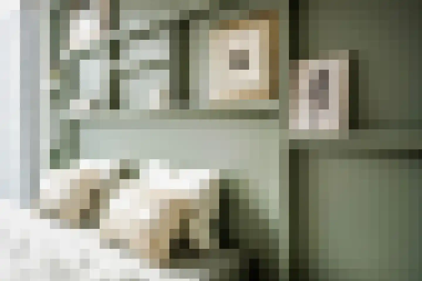 Seringenlaan 41 Wassenaar thumbnail 27