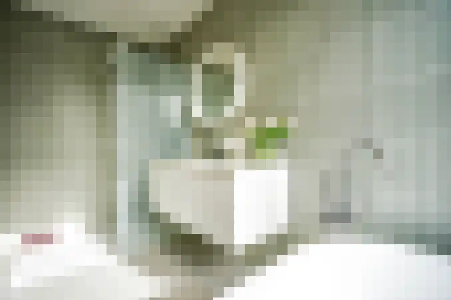 Seringenlaan 41 Wassenaar thumbnail 30