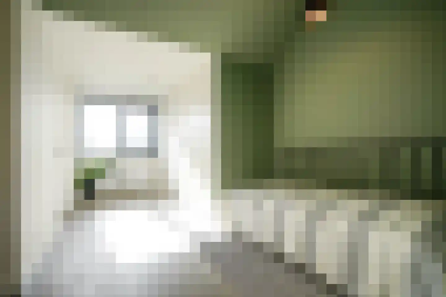 Seringenlaan 41 Wassenaar thumbnail 31