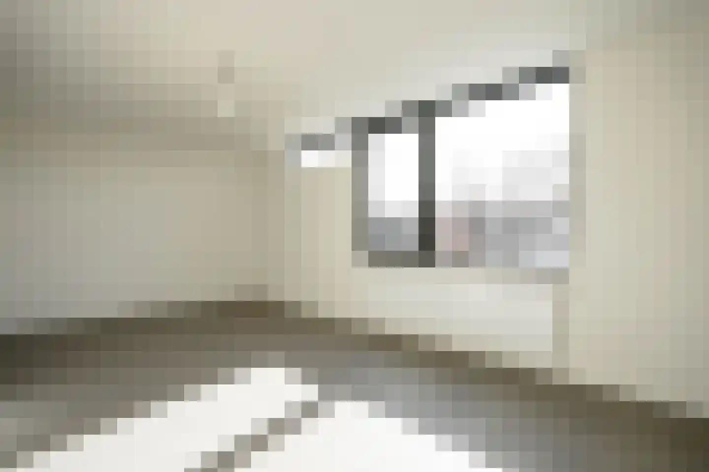Seringenlaan 41 Wassenaar thumbnail 34