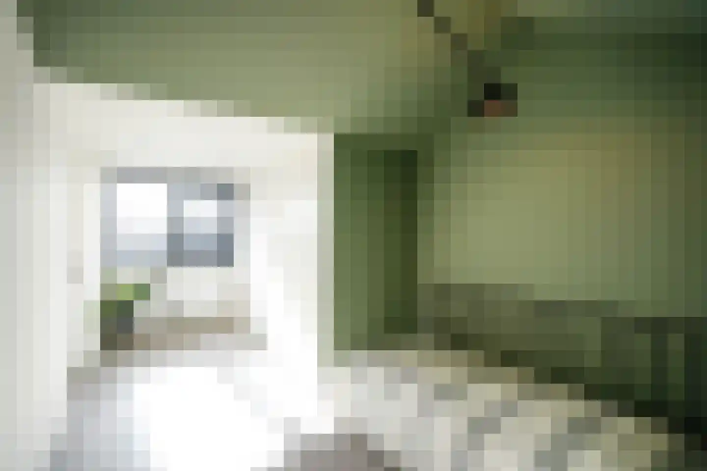 Seringenlaan 41 Wassenaar thumbnail 38