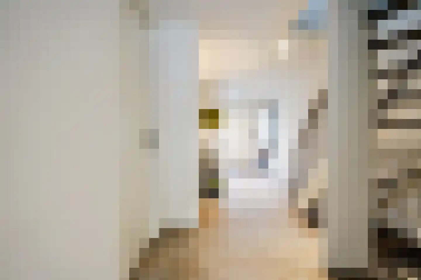Seringenlaan 41 Wassenaar thumbnail 6