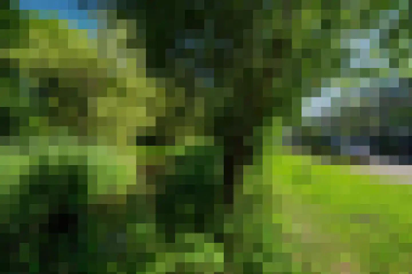 Seringenlaan 41 Wassenaar thumbnail 7