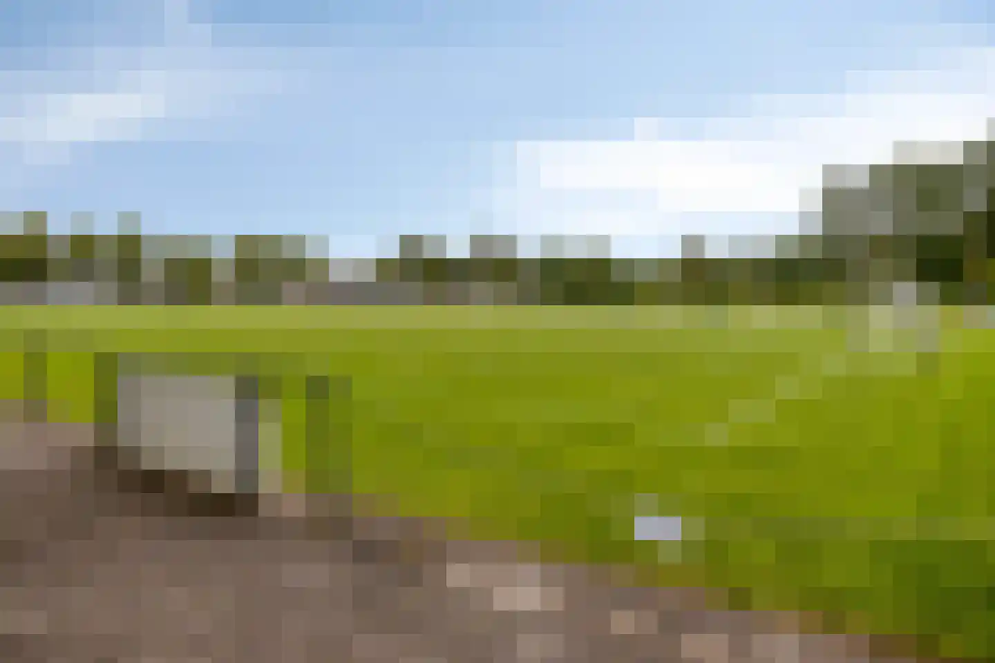 Seringenlaan 44 Steenbergen thumbnail 25