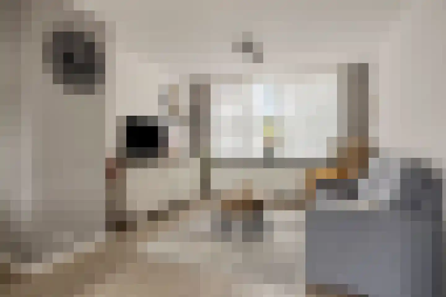 Seringenlaan 44 Steenbergen thumbnail 4