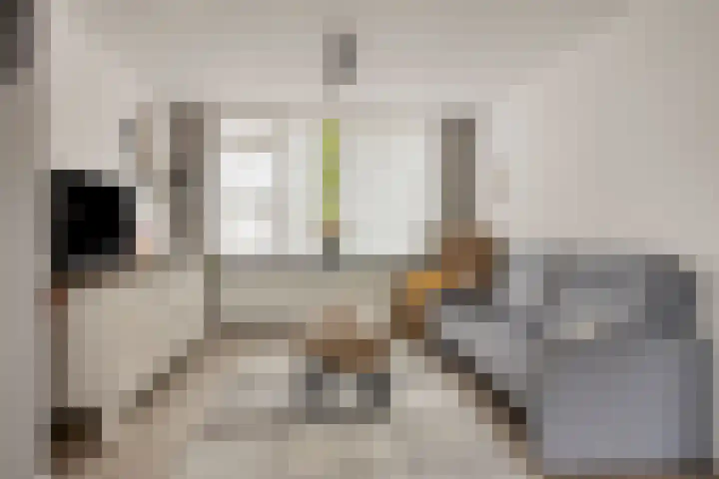 Seringenlaan 44 Steenbergen thumbnail 8