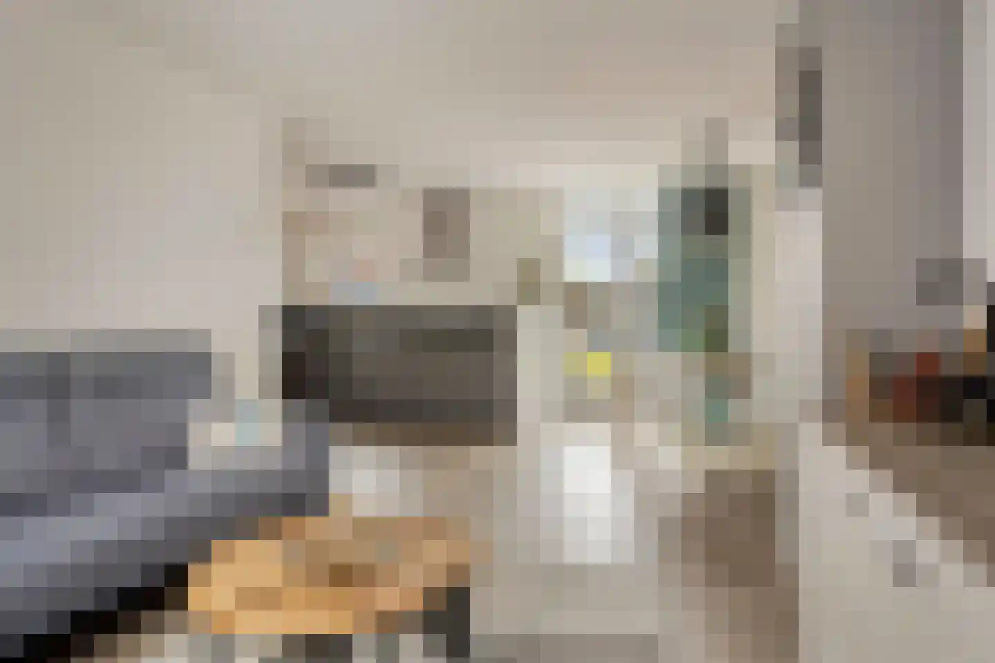Seringenlaan 44 Steenbergen thumbnail 9
