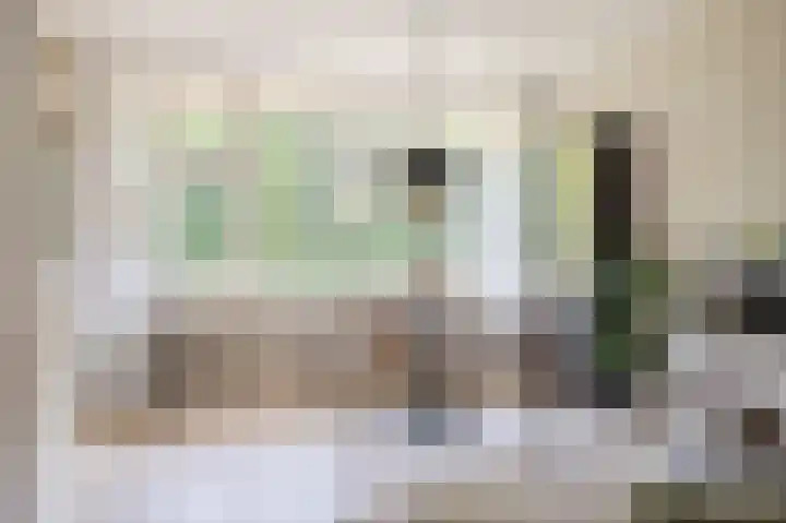 Seringenlaan 47 Wassenaar thumbnail 12