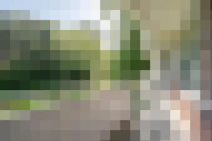 Seringenlaan 47 Wassenaar thumbnail 23