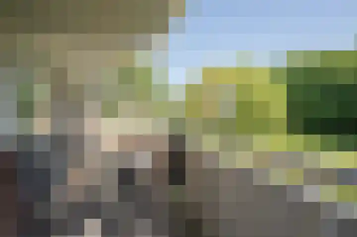 Seringenlaan 47 Wassenaar thumbnail 24