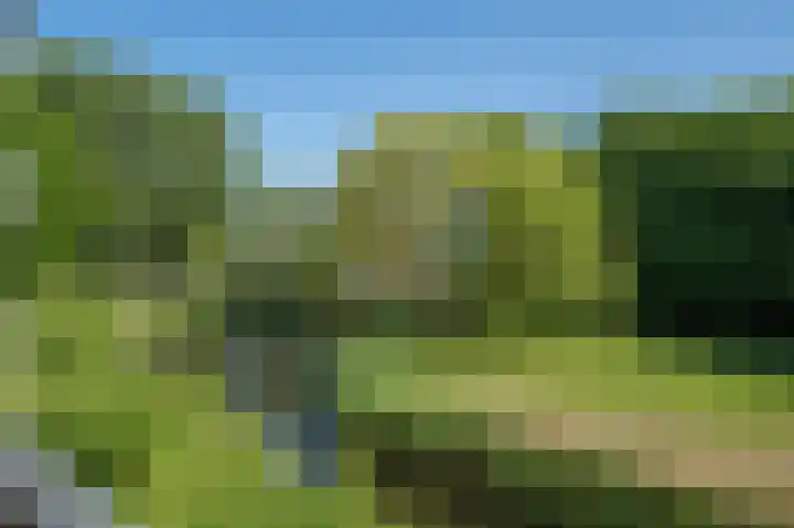 Seringenlaan 47 Wassenaar thumbnail 25