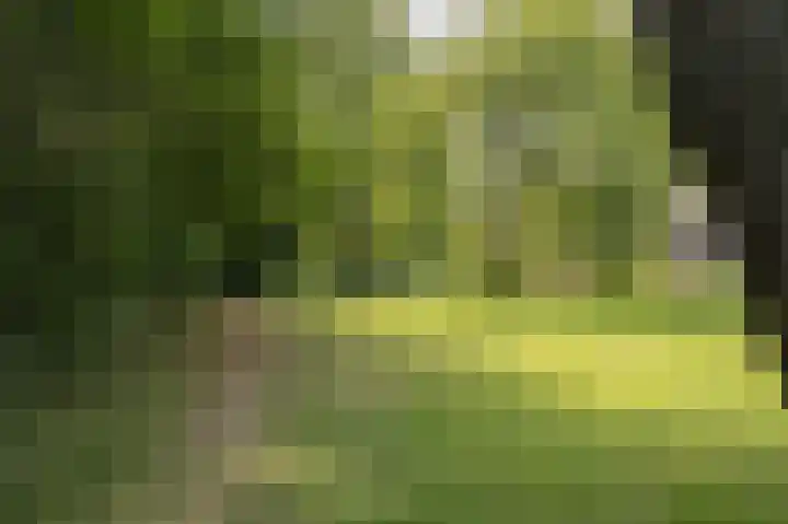 Seringenlaan 47 Wassenaar thumbnail 33