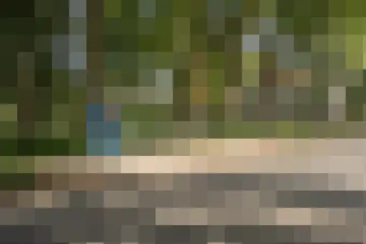 Seringenlaan 47 Wassenaar thumbnail 34