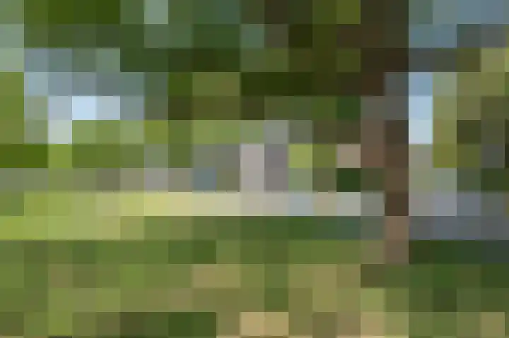 Seringenlaan 47 Wassenaar thumbnail 35
