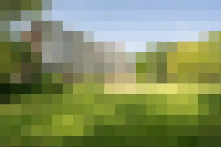 Seringenlaan 47 Wassenaar thumbnail 4