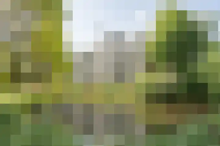 Seringenlaan 47 Wassenaar thumbnail 5