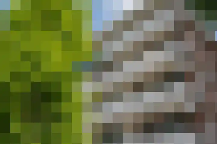 Seringenlaan 47 Wassenaar thumbnail 6