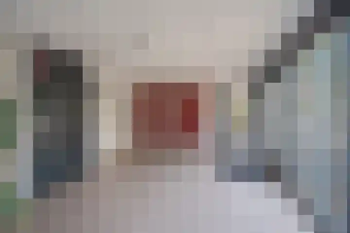 Seringenlaan 47 Wassenaar thumbnail 7