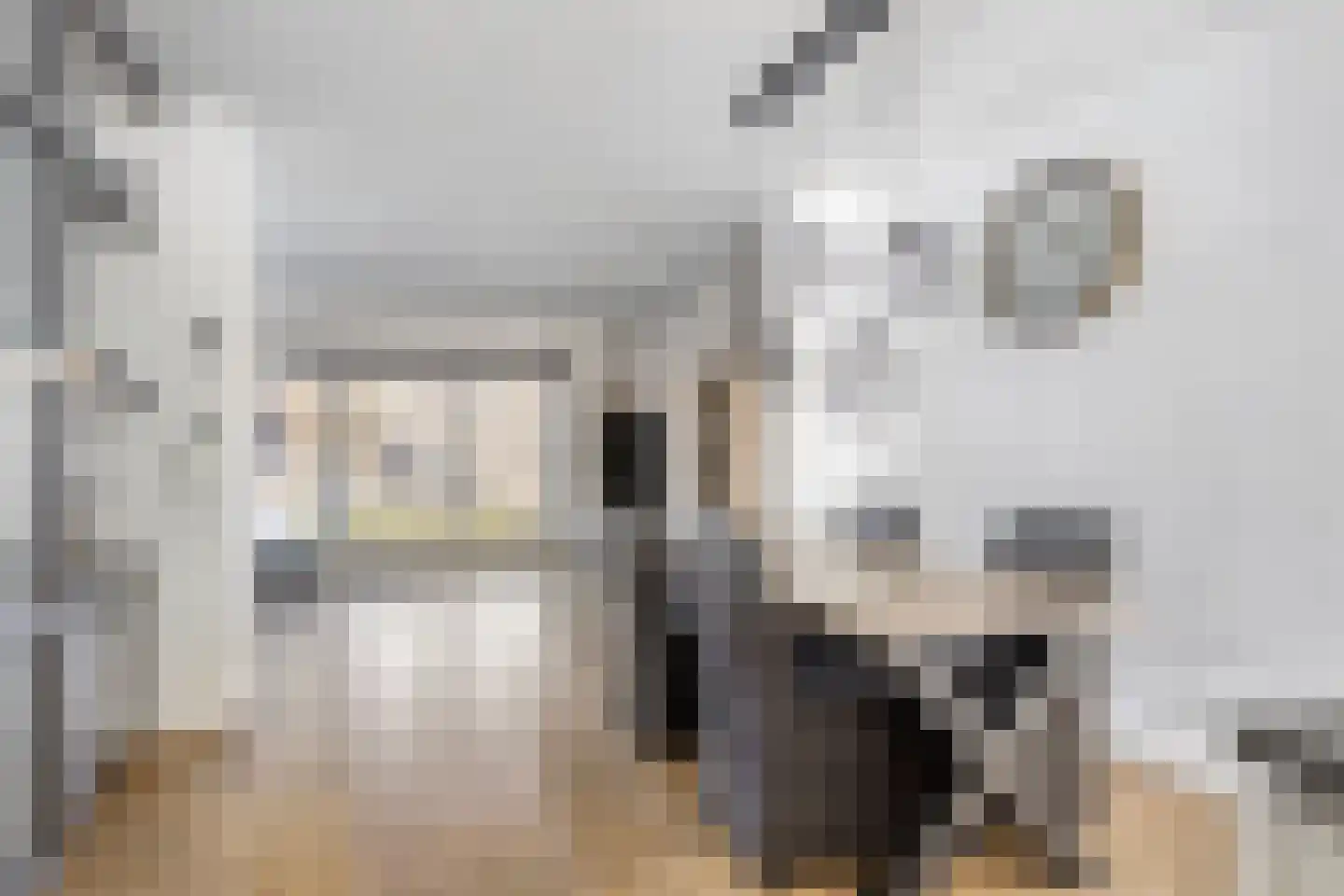 Seringenlaan 48 Steenbergen thumbnail 21