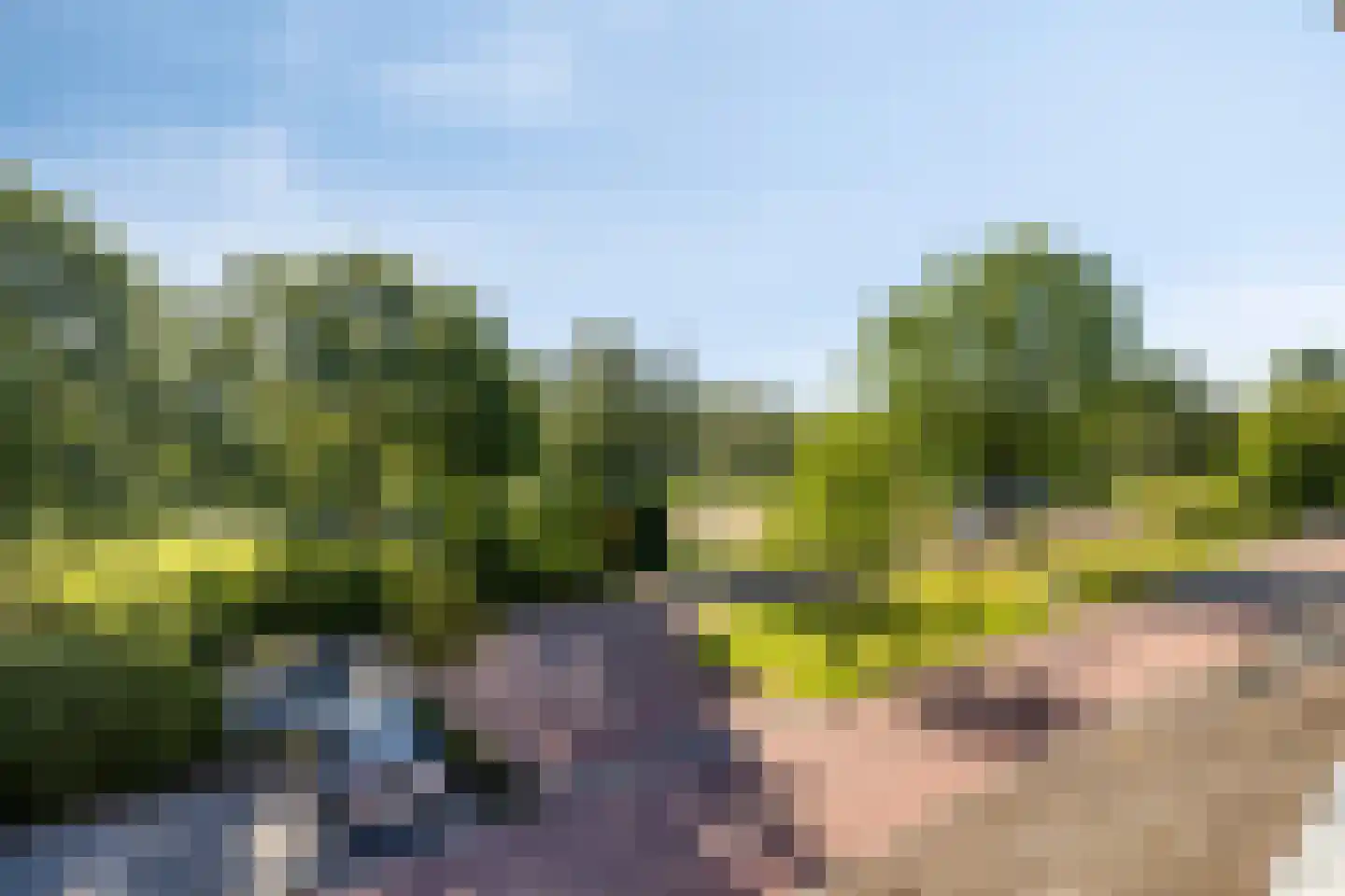 Seringenlaan 48 Steenbergen thumbnail 45