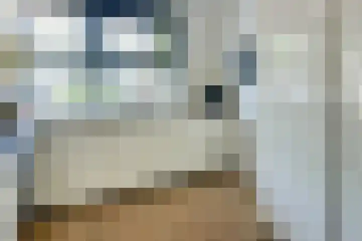 Seringenlaan 49 De Kwakel thumbnail 13