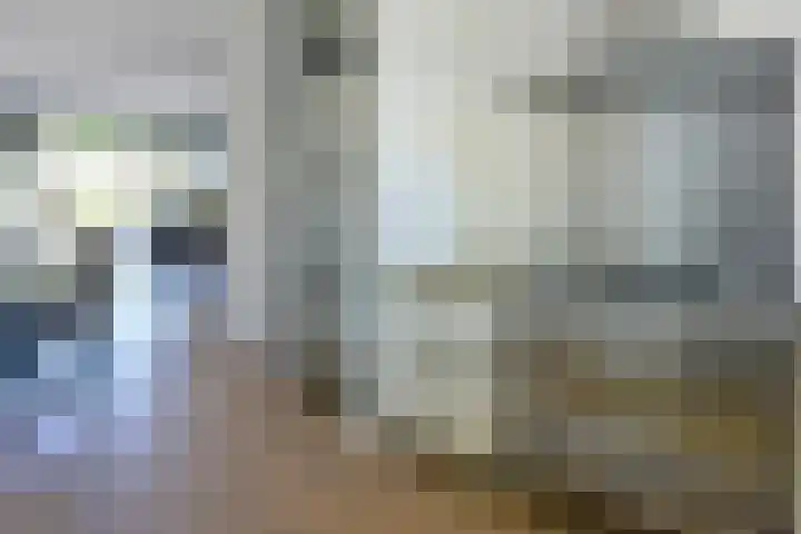 Seringenlaan 49 De Kwakel thumbnail 14