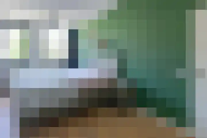 Seringenlaan 49 De Kwakel thumbnail 15