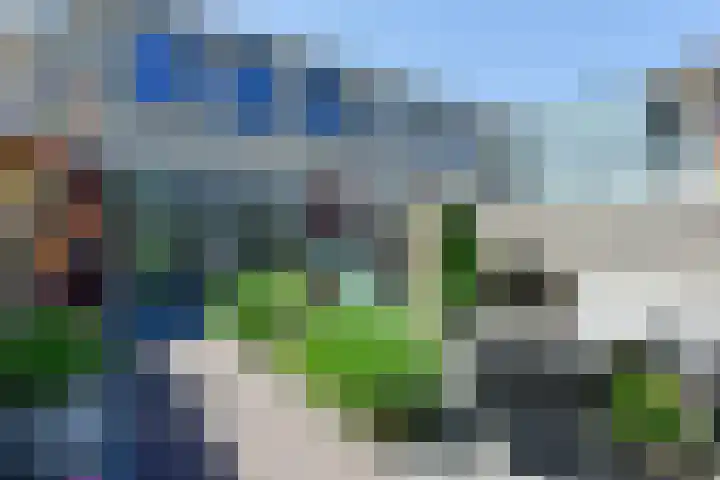 Seringenlaan 49 De Kwakel foto 2