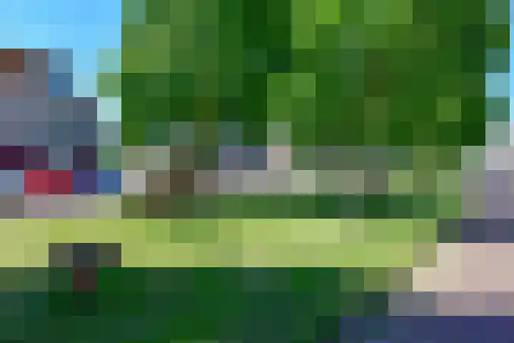 Seringenlaan 49 De Kwakel thumbnail 29