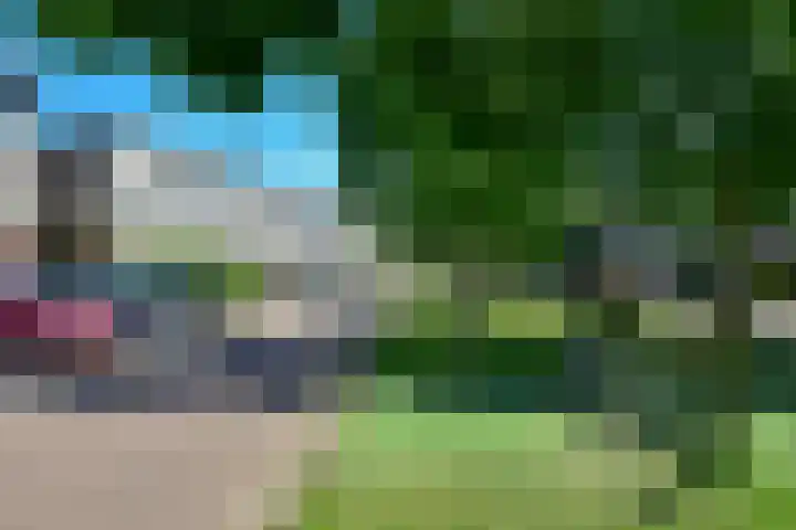 Seringenlaan 49 De Kwakel thumbnail 30