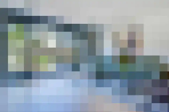 Seringenlaan 49 De Kwakel thumbnail 4