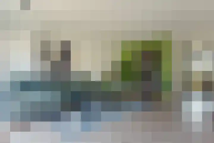 Seringenlaan 49 De Kwakel thumbnail 8