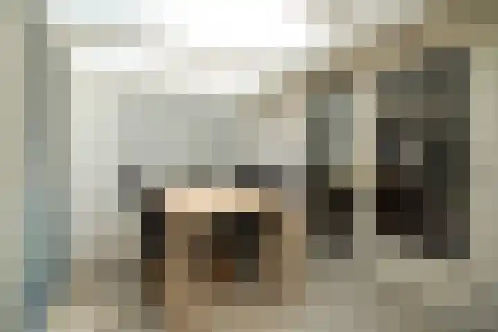 Seringenlaan 5 Hippolytushoef thumbnail 15