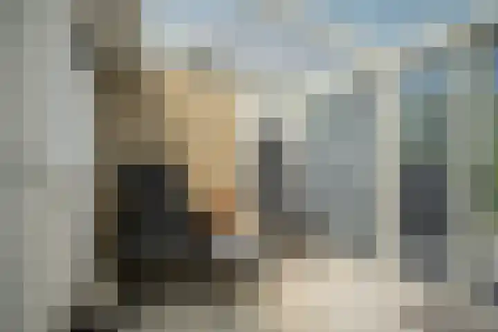 Seringenlaan 5 Hippolytushoef thumbnail 16