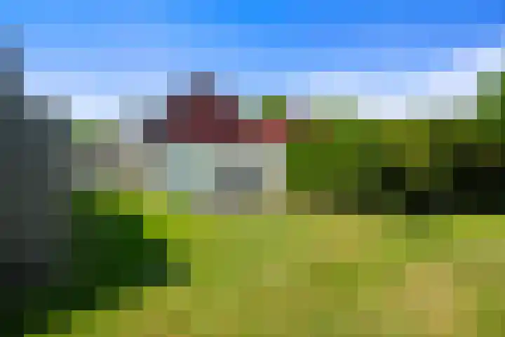 Seringenlaan 5 Hippolytushoef thumbnail 17