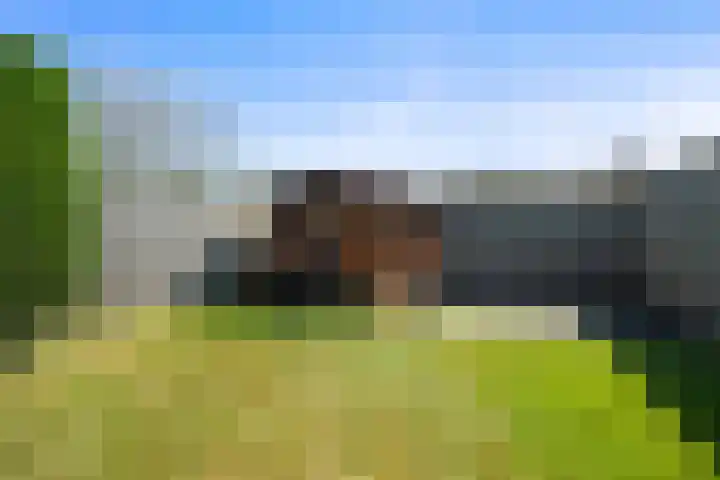Seringenlaan 5 Hippolytushoef thumbnail 18