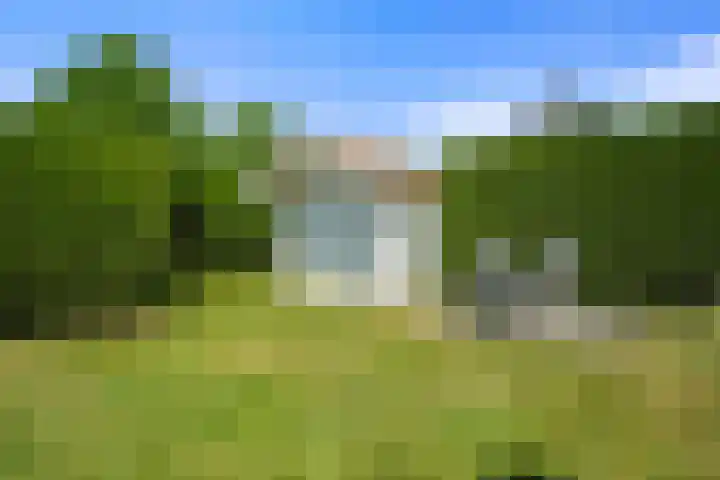 Seringenlaan 5 Hippolytushoef thumbnail 19