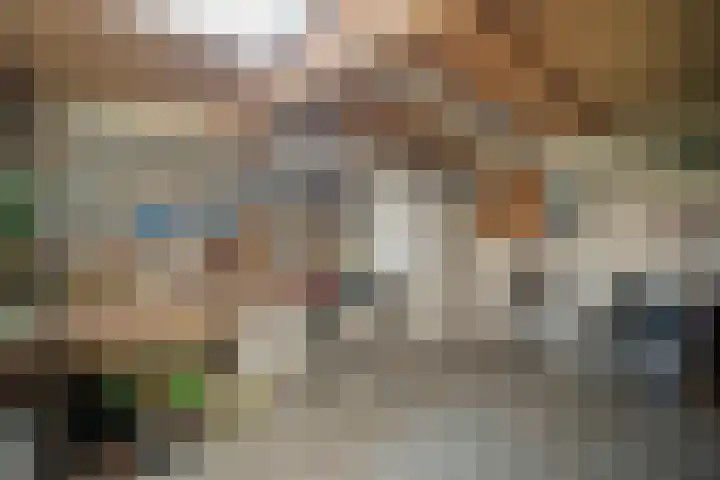 Seringenlaan 5 Hippolytushoef thumbnail 22