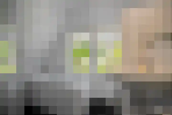 Seringenlaan 5 Hippolytushoef thumbnail 26