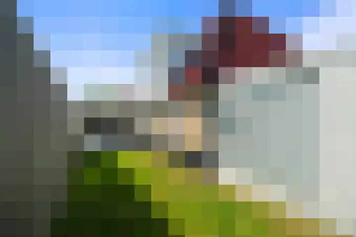 Seringenlaan 5 Hippolytushoef thumbnail 28